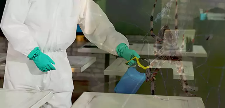 Why Buyers Still Want Homes With Pest Infestations in Huntington Beach, CA?