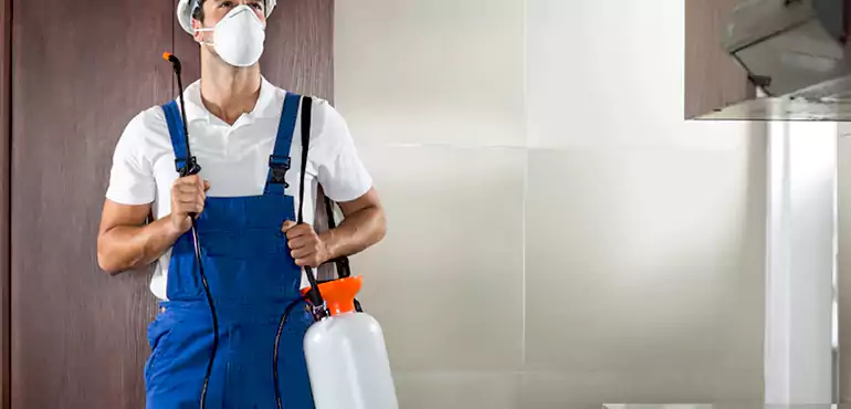 Why Huntington Beach Homeowners Choose Us When Pests Make Selling Difficult
